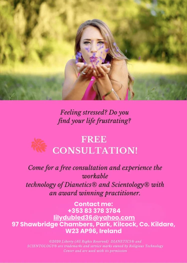 Flyer 3