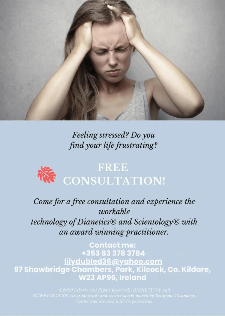 Flyer 4